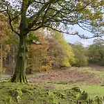 Дом отдыха Beech - Woodland *