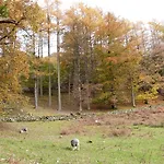 Beech - Woodland Дом отдыха Боунес-он-Уиндермер