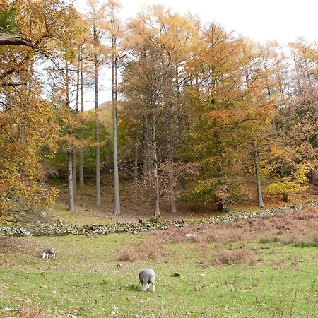 Beech - Woodland Дом отдыха Боунес-он-Уиндермер