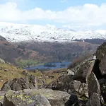 Beech - Woodland Bowness-on-Windermere