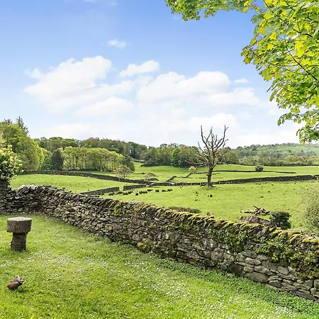 Beech - Woodland * Bowness-on-Windermere