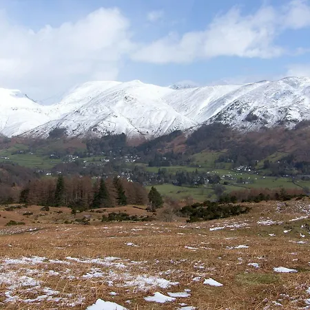 Beech - Woodland Bowness-on-Windermere
